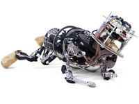 IEEE, organisasi di balik katalog bot memberikan deretan robot-robot terseram di dunia. Siapa saja mereka?

Di urutan ke-10 ada Bandit dari USC Interaction Lab and BlueSky Robotics. Meski seram, tujuan Bandit sangat mulia yakni membantu anak autis, memotivasi orang dewasa yang lebih tua dalam latihan fisik, dan memberikan terapi kepada pasien stroke.