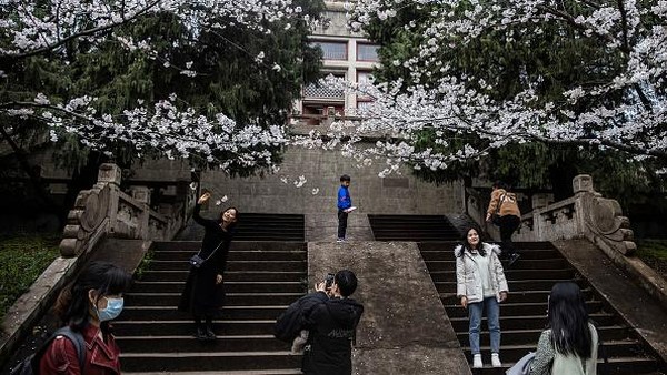 Dilansir dari Getty Images, Universitas Wuhan yang pertama kali didirikan pada tahun 1893 itu merupakan salah satu universitas paling indah di China. Tak heran, saat musim semi tiba warga pun berdatangan ke universitas itu untuk melihat bunga-bunga sakura yang bermekaran. Dilansir dari Getty Images, Universitas Wuhan yang pertama kali didirikan pada tahun 1893 itu merupakan salah satu universitas paling indah di China. Tak heran, saat musim semi tiba warga pun berdatangan ke universitas itu untuk melihat bunga-bunga sakura yang bermekaran.