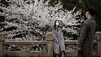 Momen mekarnya bunga-bunga sakura ini kerap dijadikan latar foto bagi para pencinta foto lho.