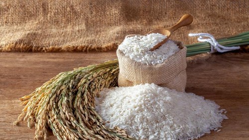Cara Menyimpan Beras Agar Awet Lebih Lama dan Bebas Kutu