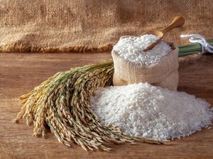 10 Cara Menghilangkan Kutu Beras, Mudah, dan Ampuh!