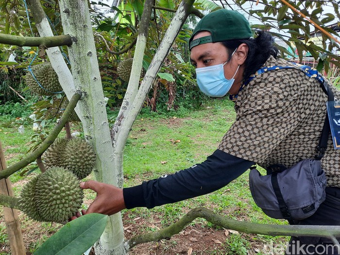 Desa Wisata Rancamaya