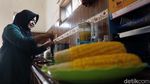 Mencari Cuan Lewat Susu Jagung Manis