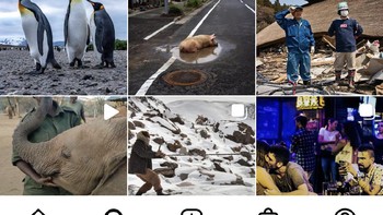 13. Akun National Geographic punya 155 juta followers. Foto: screenshot/detikINET