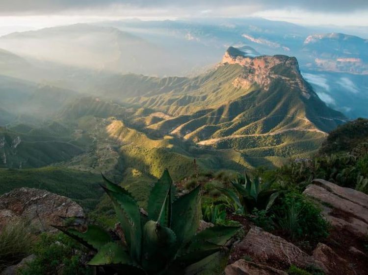 Alam Liar Ini Diselamatkan Pria Kota yang Rindu Pegunungan Terpencil