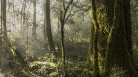 Kelompok ini bekerja untuk melestarikan alam sekaligus meningkatkan kehidupan masyarakat lokal yang kurang mampu secara ekonomi. Dengan bentang alam mulai dari gurun hingga hutan tropis, Sierra Gorda adalah salah satu hotspot keanekaragaman hayati paling atas di Meksiko.