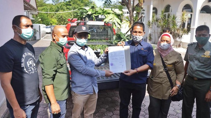 Penyerahan satwa lindung dari pihak rumah tangga rumdin wakil gubernur ke BKSDA Aceh