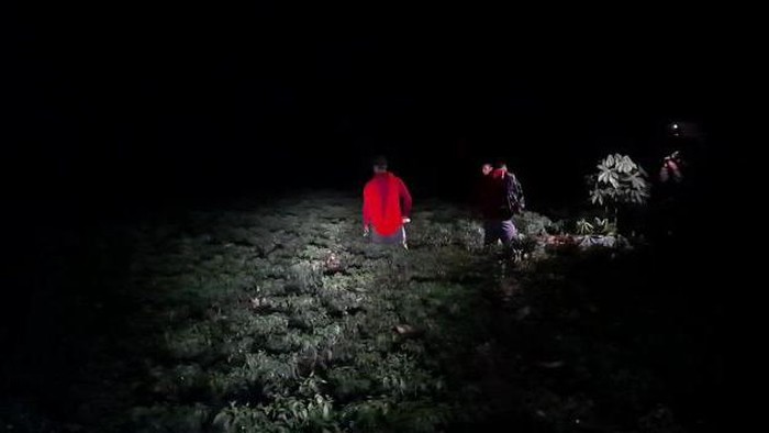 Harga cabai tegah melambung tinggi. Untuk mencegah aksi pencurian, petani di Tuban melakukan jaga malam di kebun, sebab waktu panen akan segera tiba.