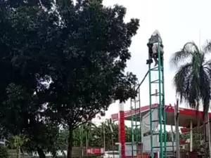Pria Panjat Tiang Reklame di Tangsel, Polisi: Merasa Dikejar-kejar Orang