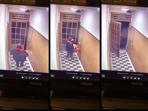 Restorannya Banyak Tikus, Driver Ini Curi Kucing Pembeli Saat Antar Makanan