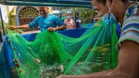 Mulai dari kambing, ayam, hingga ikan, dibudidayakan sendiri oleh warga.  