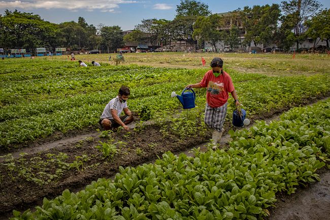 Kegiatan Ekonomi Utama Penduduk Filipina Di Bidang Apa Saja Cek Di Sini