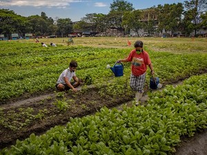 Kegiatan Ekonomi Utama Penduduk Filipina di Bidang Apa Saja? Cek di Sini