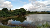 Pantauan di lokasi, Sabtu (13/3/2021), rawa tersebut berukuran sekira 50 x 50 meter.