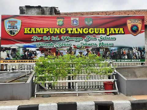 Kampung Tangguh Jaya di Sawah Besar, Jakpus