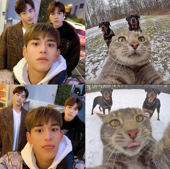 Ide kocak grup WayV bermula dari foto yang diunggah Lucas WayV ini. Ia menirukan Manny the Selfie Cat, mengajak Winwin dan Hendery sebagai dua anjing di belakangnya. Foto: Instagram lucas_xx444