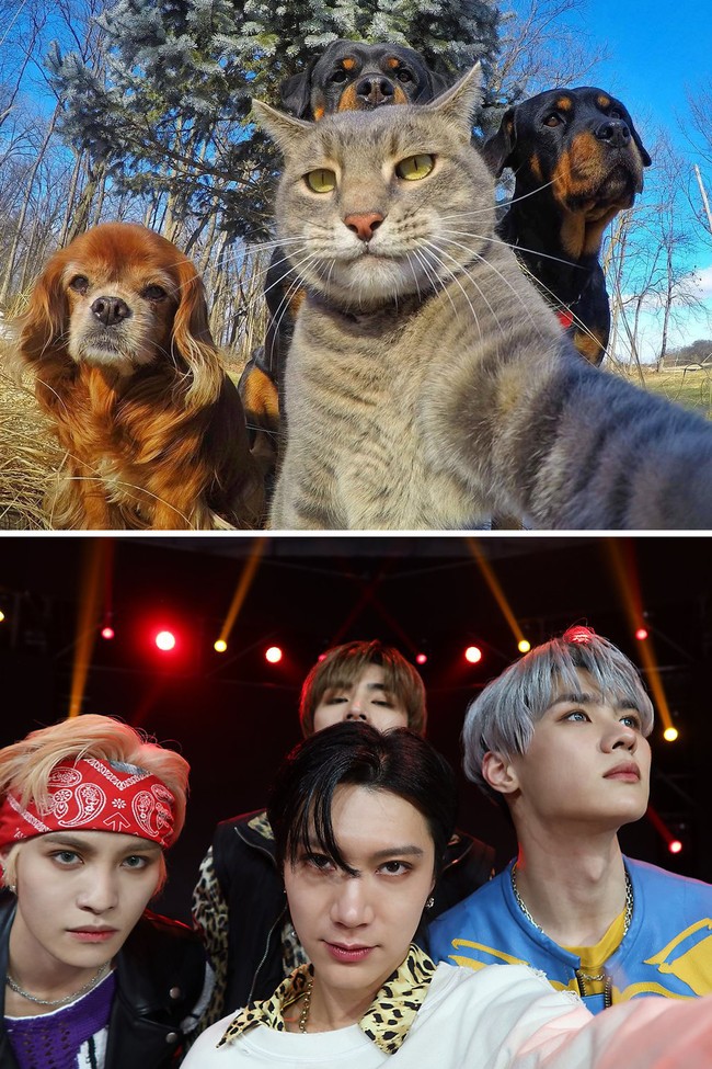 SM Entertainment kembali mengunggah kelakuan kocak WayV saat showcase “Kick Back”. Ten berpose bak Manny the Selfie Cat dengan anggota gengnya, Yangyang, Xiao Jun, dan Kun. Foto: Instagram yoremahm, dok. SM Entertainment