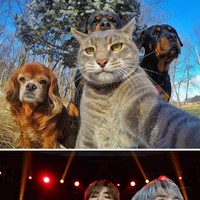 SM Entertainment kembali mengunggah kelakuan kocak WayV saat showcase “Kick Back”. Ten berpose bak Manny the Selfie Cat dengan anggota gengnya, Yangyang, Xiao Jun, dan Kun. Foto: Instagram yoremahm, dok. SM Entertainment