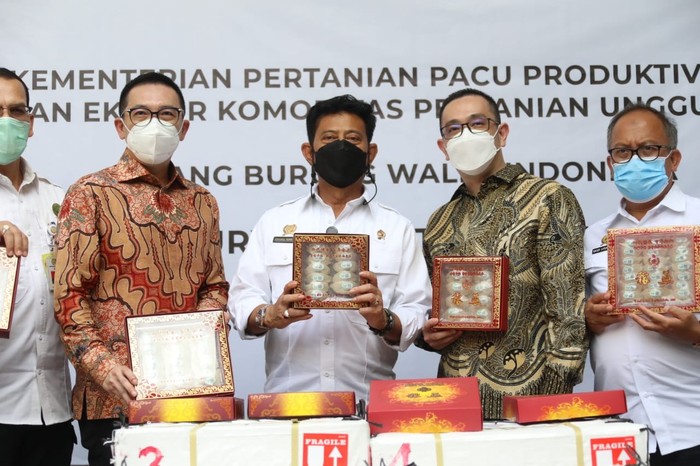 Menteri Pertanian Sayhrul Yasin Limpo