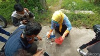 Dimintai konfirmasi terpisah, bidan Kelurahan Mlati Kidul, Sri Endah mengkau langsung mendatangi lokasi usai menerima laporan penemuan limbah medis tersebut. Rencananya limbah medis itu akan dibawa ke puskesmas untuk dimusnahkan.