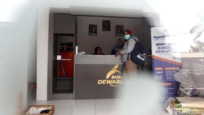 Petani Jeruk Desa Selorejo Malang Semringah lewat Bumdes CSR Bank BRI
