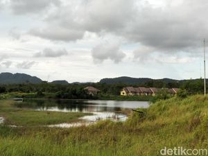 Penampakan Rawa Tempat Ritual Bugil Kelompok Hakekok