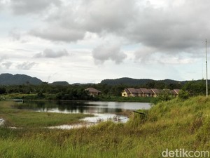 Belasan Orang Bugil di Rawa Pandeglang,  4 Hal yang Dilarang Dilakukan Umat Hindu saat Nyepi