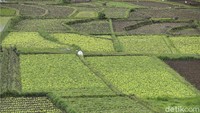 Para petani melakukan usaha dengan baik, dipastikan produksi pertanian lebih bagus sehingga ketersediaan hasil produksi untuk memenuhi kebutuhan pangan bisa lebih baik.