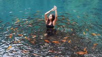 Travelers juga bisa berenang dan mengambil foto underwater di Situ Cipanten. Tentunya area berenang di sana telah ditentukan dengan kedalaman sekitar 2 meter. Situ Cipanten sendiri memiliki kedalam hingga 4 meter lebih pada bagian tengahnya.