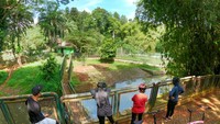 Pengunjung asyik bersepeda berkeliling Ragunan. (Foto: Andhika Prasetia-detikcom)