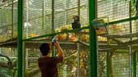 Pengunjung saat memotret burung di Ragunan. (Foto: Andhika Prasetia-detikcom)