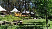 Dikelilingi kawasan wisata hutan pinus yang lebat, Grafika Cikole berada di area perbukitan seluas 9 hektre. Suhu pada siang hari adalah sekitar 20 derajat celsius, sedangkan malam hari mencapai 5 derajat celsius. (Wishnu Pradana/detikTravel)