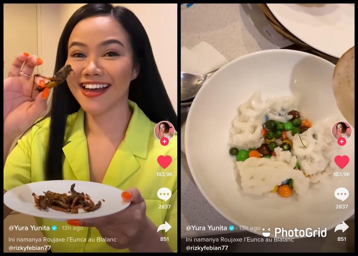 Yura Yunita Parodikan Sisca Kohl, Bikin Camilan Cokelat Plus Leunca! Yura Yunita Parodikan Sisca Kohl, Bikin Camilan Cokelat Plus Leunca!