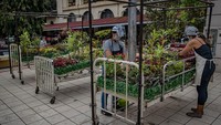 Dilansir dari Getty Images, sejumlah seniman dan tenaga kesehatan di Filipina menanam bunga di ranjang rumah sakit sebagai bagian dari instalasi berjudul Whispering Flower Beds atau Tempat Tidur Bunga Berbisik.