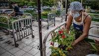 Melansir Getty Images, Filipina telah melaporkan lebih dari 621 ribu kasus sejauhini, dengan setidaknya 12.829 kematian.