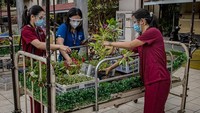 Jam malam dan pembatasan aktivitas yang lebih ketat pun diberlakukan di beberapa kota karena negara tersebut mengalami lonjakan kasus COVID-19 dan juga mengantisipasi penyebaran mutasi baru virus Corona.