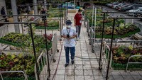 Varian Brasil yang dikenal dengan P1 atau 501Y.V3 ini pertama kali dilaporkan pihak otoritas kesehatan Jepang pada empat orang yang kembali dari Brasil, pada pertengahan Januari lalu. Selain itu, varian ini juga menjadi perhatian karena memiliki mutasi yang berpotensi membuatnya lebih mudah menular dan resisten terhadap vaksin.