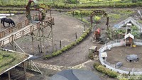 Atraksi berkuda di tengah sawah dengan hamparan pemandangan gunung, dan kebun yang memanjakan mata jadi salah satu andalan objek wisata The Roudh 78 di Malang, Jawa Timur.