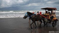 Selain itu, ada pula wisatawan yang menyewa dokar saat berlibur ke Pantai Parangtritis.