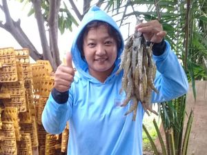 Beri Pakan Lewat HP, Pelaku Budi Daya Udang Ini Raup Rp 1 M/Panen