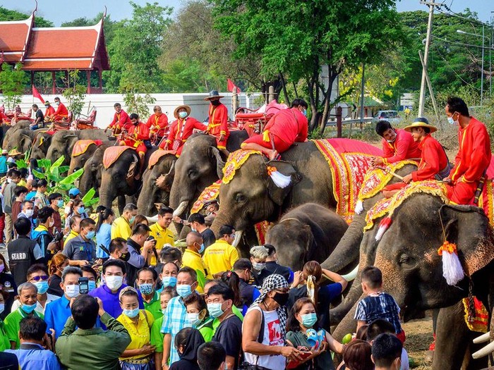 Hari Gajah Nasional di Thailand Hari Gajah Nasional di Thailand