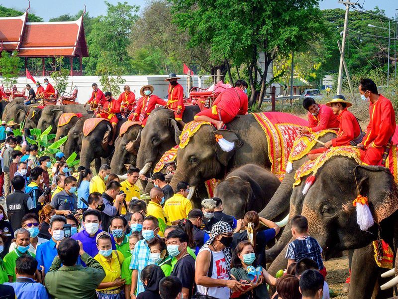 Hari Gajah Nasional di Thailand