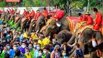 Foto: Hari Gajah Nasional di Negeri Gajah Putih