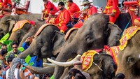 Pesta gajah ini merayakan gajah sebagai sumber kebanggaan nasional dan identitas budaya Thailand.