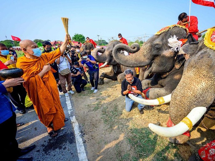 Hari Gajah Nasional di Thailand