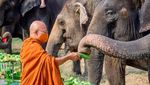 Foto: Hari Gajah Nasional di Negeri Gajah Putih