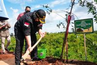 KLHK Tanam 150 Batang Pohon Di Persemaian Modern Rumpin, Bogor