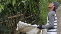 Kisah petani alpukat ini menjadi satu dari kumpulan kisah dalam program Jelajah UMKM ke beberapa wilayah di Indonesia. Program Jelajah UMKM mengulas berbagai aspek kehidupan warga dan membaca potensi di daerah. Untuk mengetahui informasi lebih lengkap, Ikuti terus jelajah UMKM bersama BRI hanya di detik.com/tag/jelajahumkmbri.