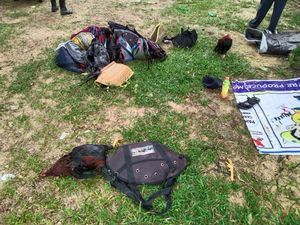 Polisi Gerebek Judi di Area Perkebunan Sawit Kaltim, Bandar Ditangkap