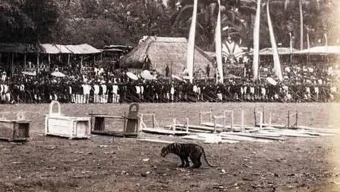 Zaman dulu Blitar punya tradisi Rampogan Macan. Tradisi ini sebagai tolak bala agar Blitar terhindar dari wabah dan erupsi Gunung Kelud.